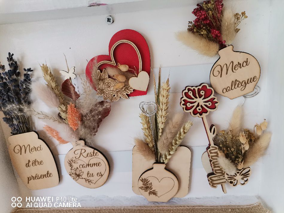 554104226_122191036688560049_867043107028089382_n