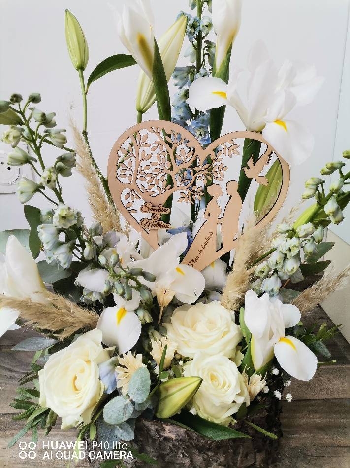 559376346_122193070412560049_6470158774181530916_n